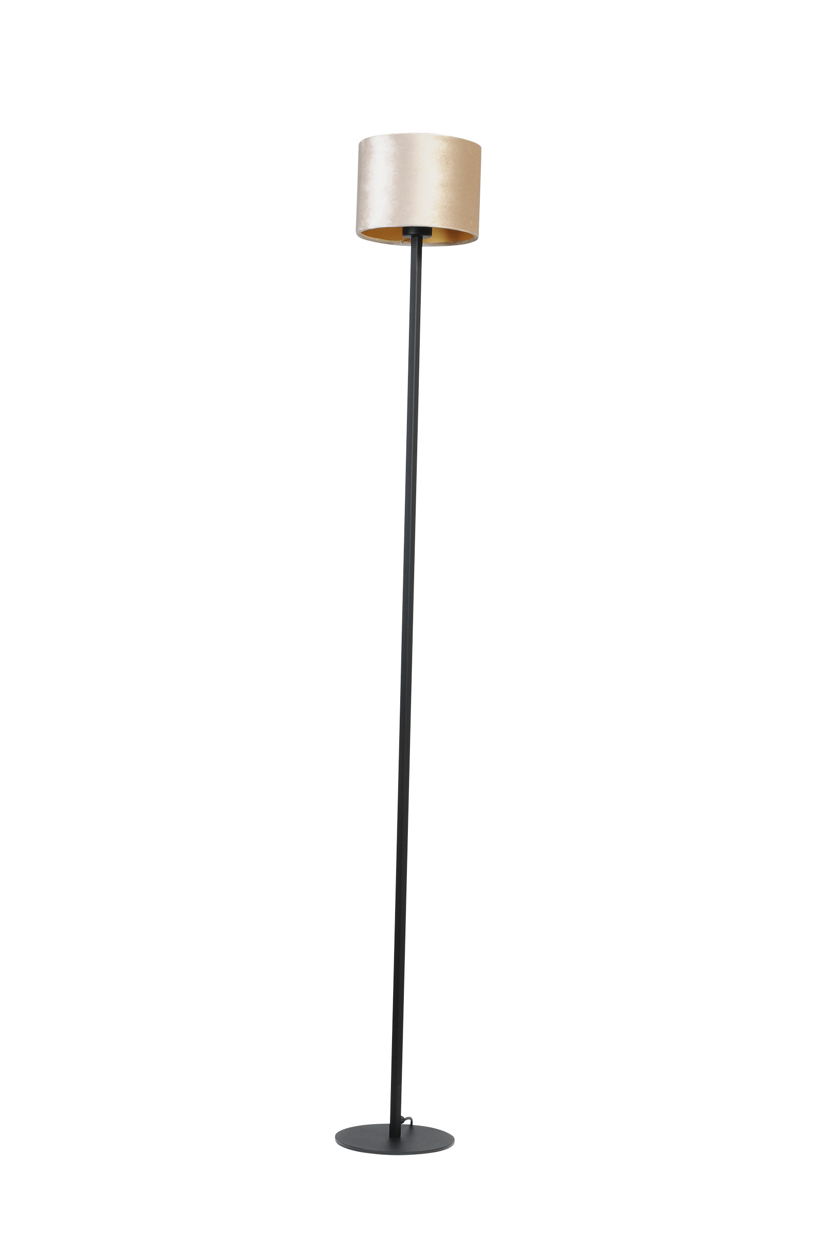 Venus VL VENUS 1LTS BLACK H. 175CM