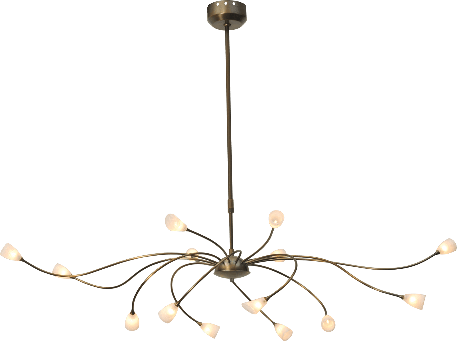 Molto HL MOLTO BRONZE 14LTS WIDTH 135CM DTW