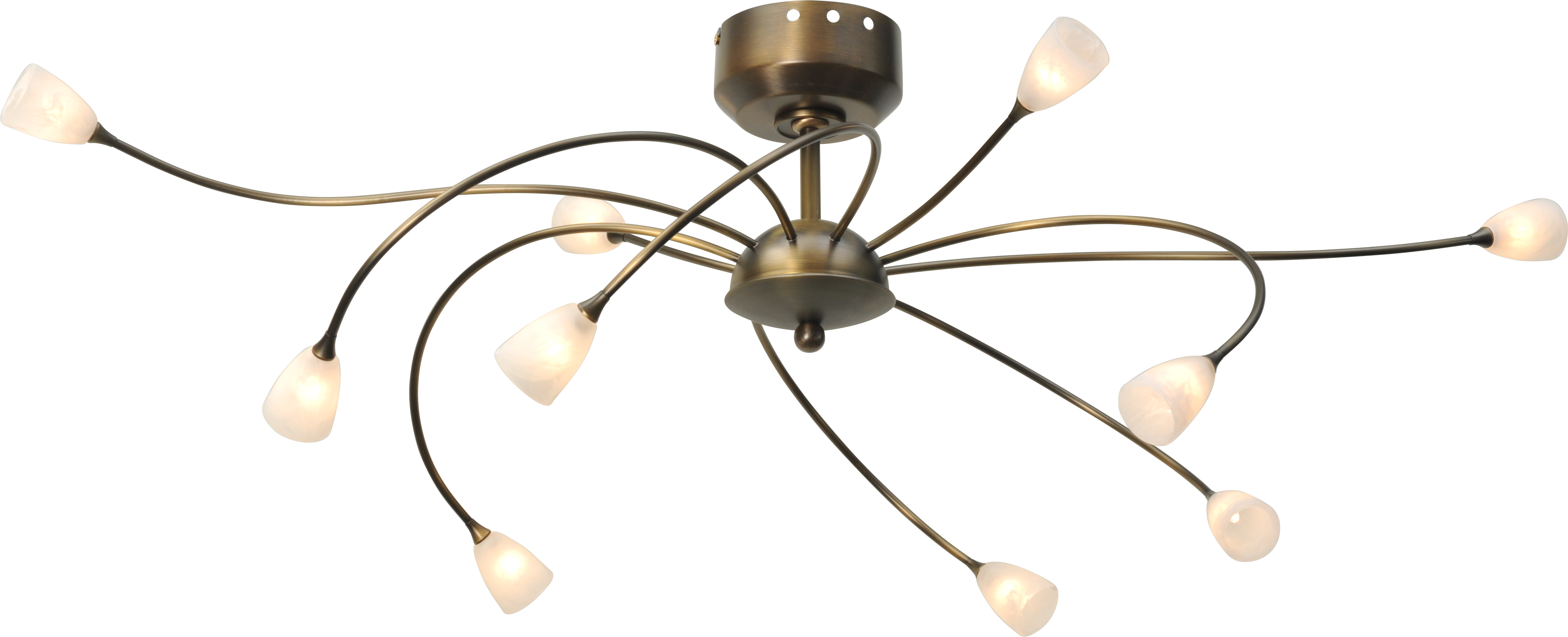 Molto PL MOLTO BRONZE 10LTS WIDTH 115CM DTW